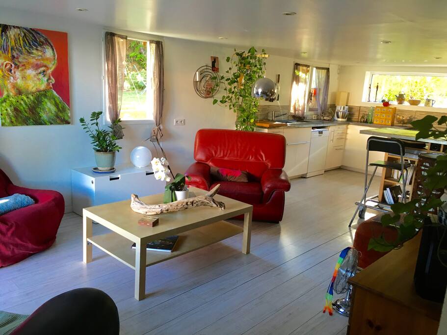 salon/cuisine donnant sur la terrasse/ piscine