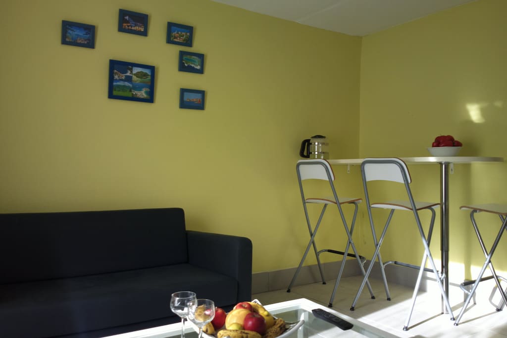 Salon/salle à manger