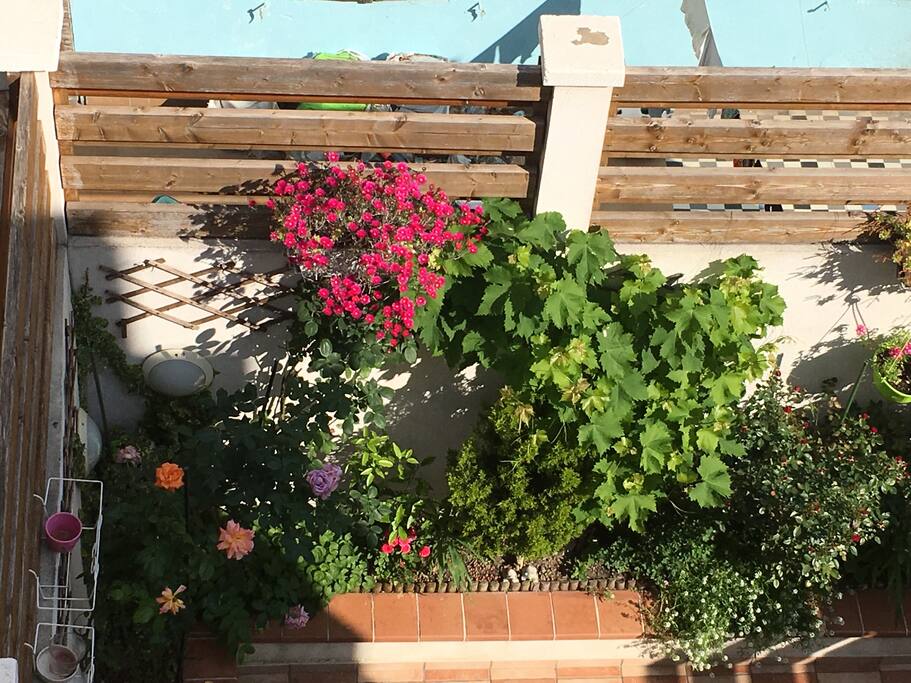 Cour terrasse extérieur