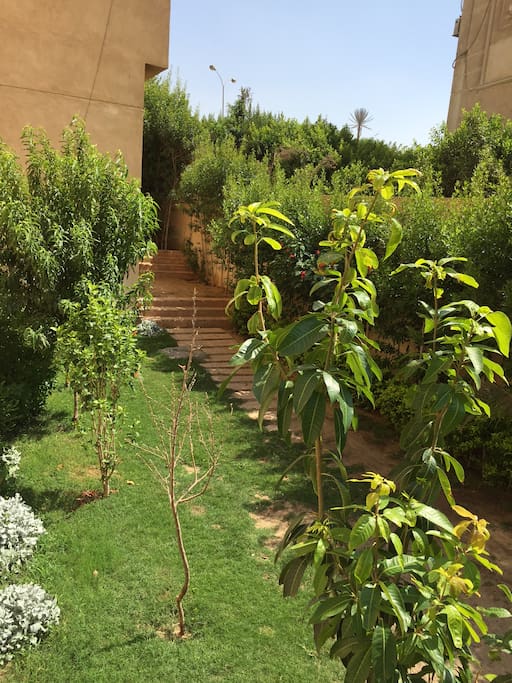 Side Garden