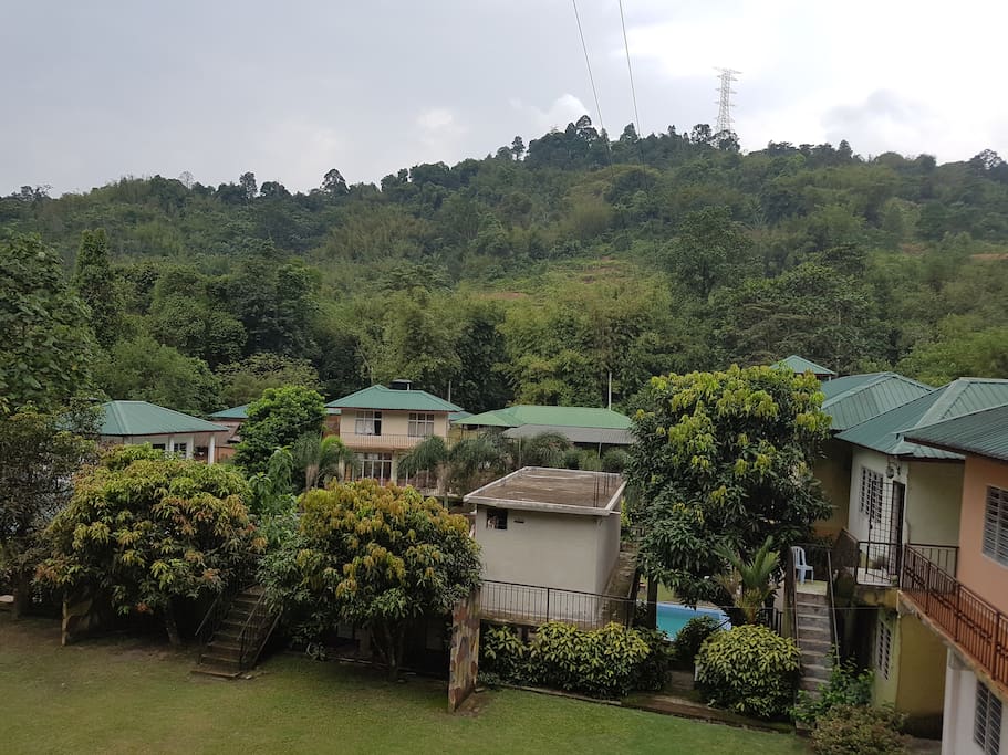Greenery