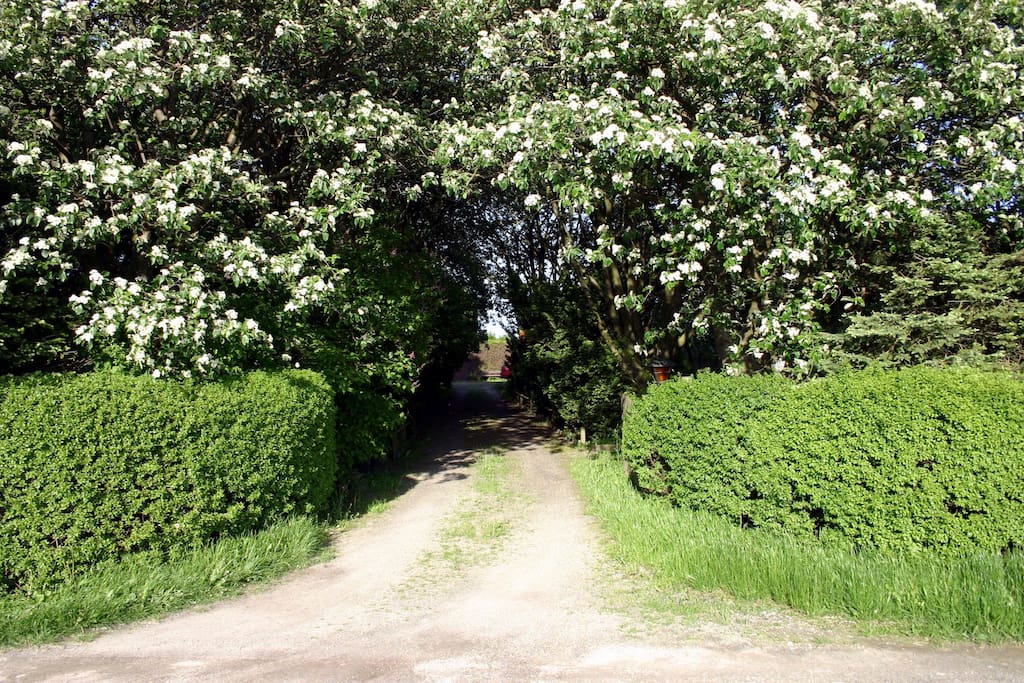 Drive-way to the studio