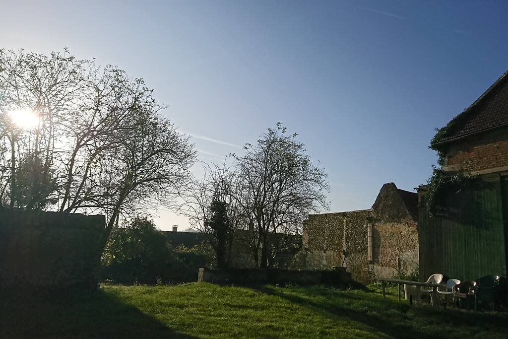 The Garden