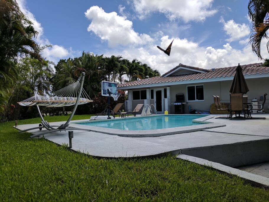 Backyard (Heated Pool, Basketball, Hammock, Floats, Grill, Lounge Chairs, Cornhole, Table and Umbrella)