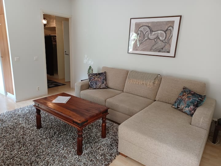 Comfortable apartment in Helsinki Condominiums for Rent in Helsinki