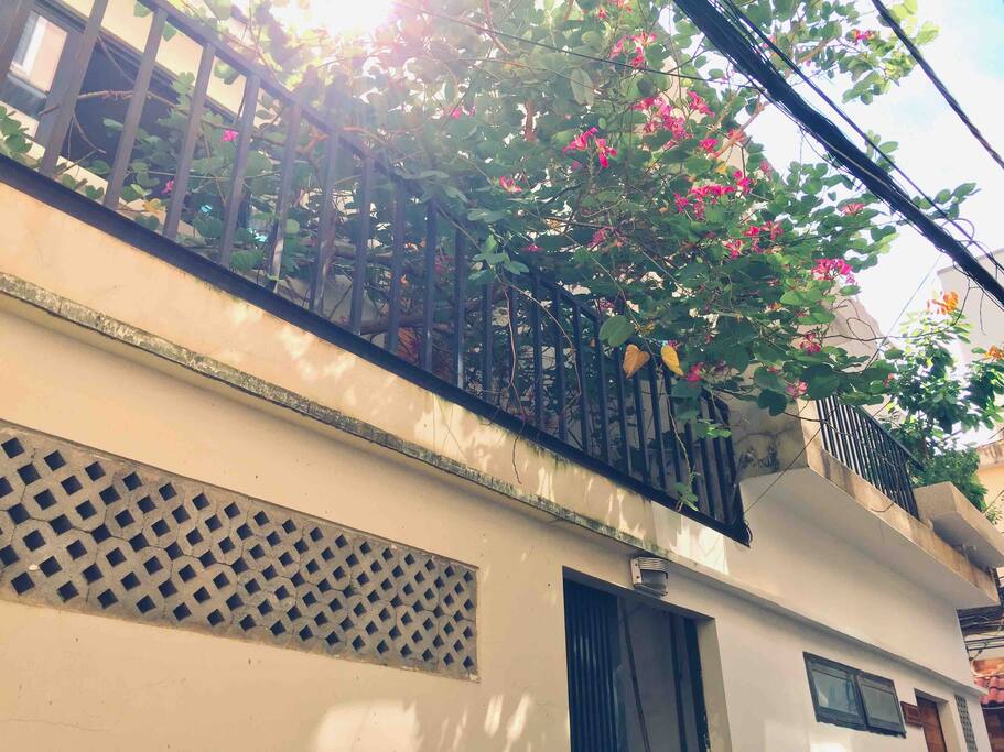 The house’s front. Green, bright and easy to spot in a calm alley.