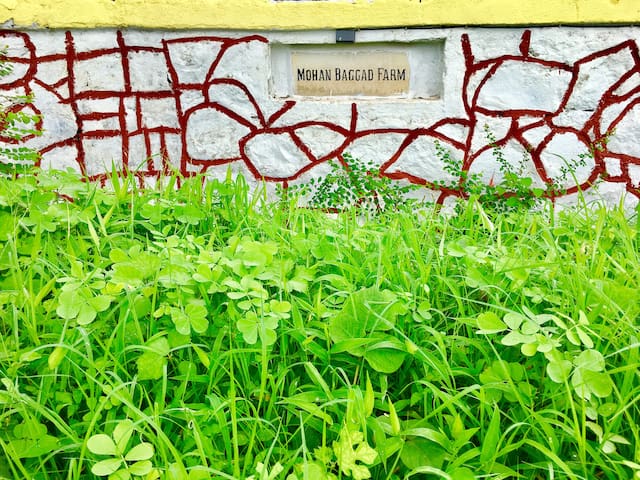 Mohan Baggad Farm house