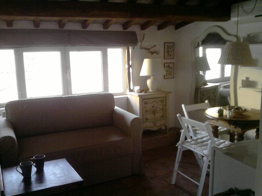 Ambiente confortevole e molto gradevole per una persona/ Comfortable and very pleasant environment for a person
