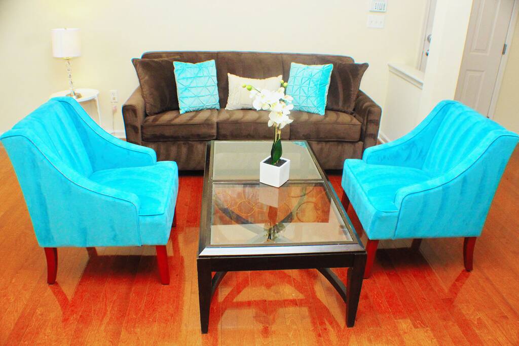 Spacious Living Room w/Pull out Sofa Bed