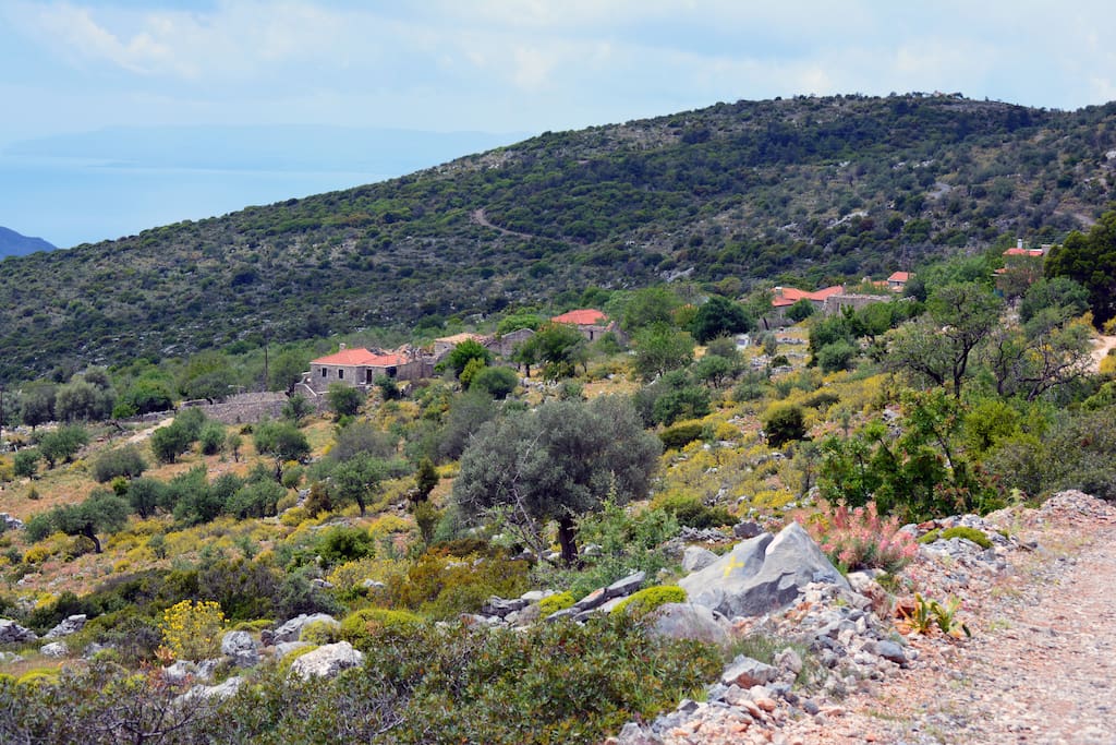 The Village
