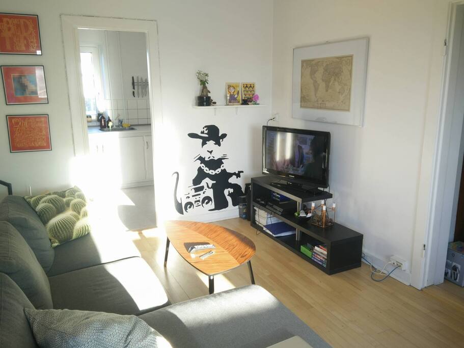 Livingroom/bedroom
