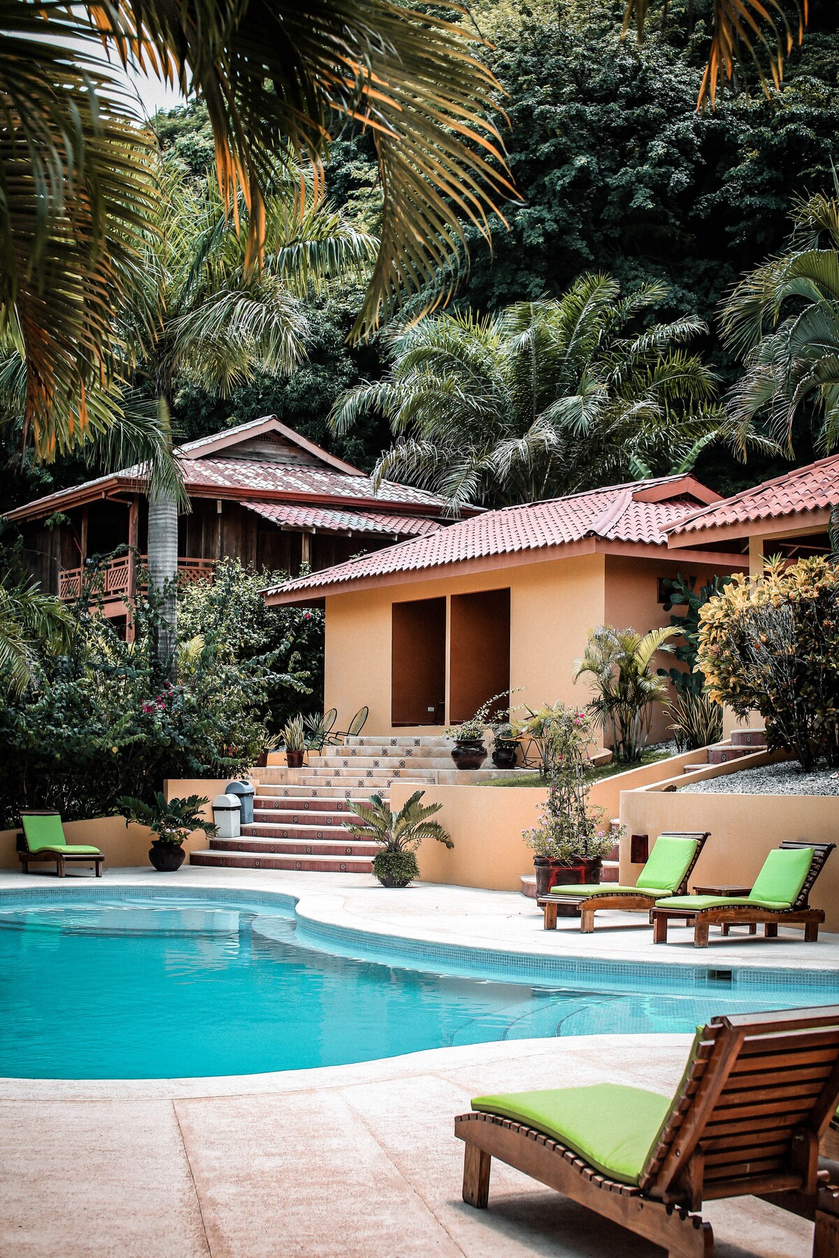 A tranquil pool area features a spacious swimming pool surrounded by green lounge chairs. Bungalows are nestled among lush tropical vegetation, with stairs leading to a distinctive entrance. Potted plants enhance the inviting ambiance of this serene outdoor space.