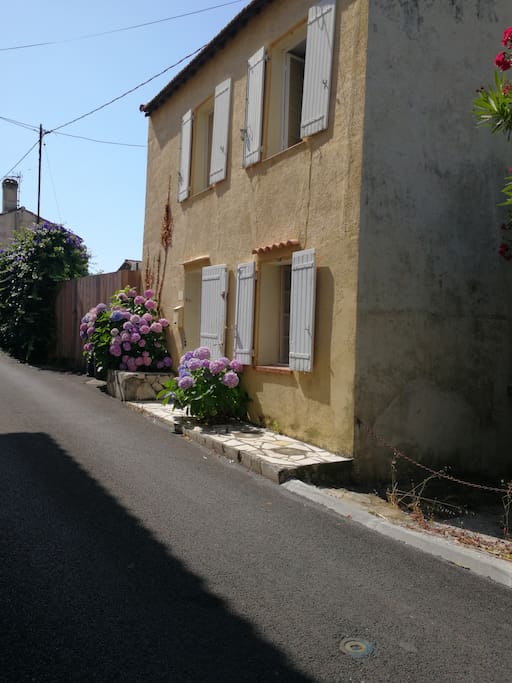 Cottage from Street