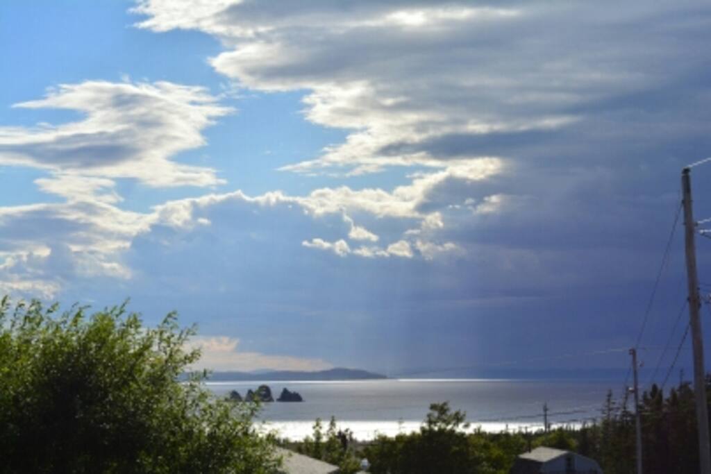 The beautiful view from the front yard. Shag Rock on Trinity Bay.