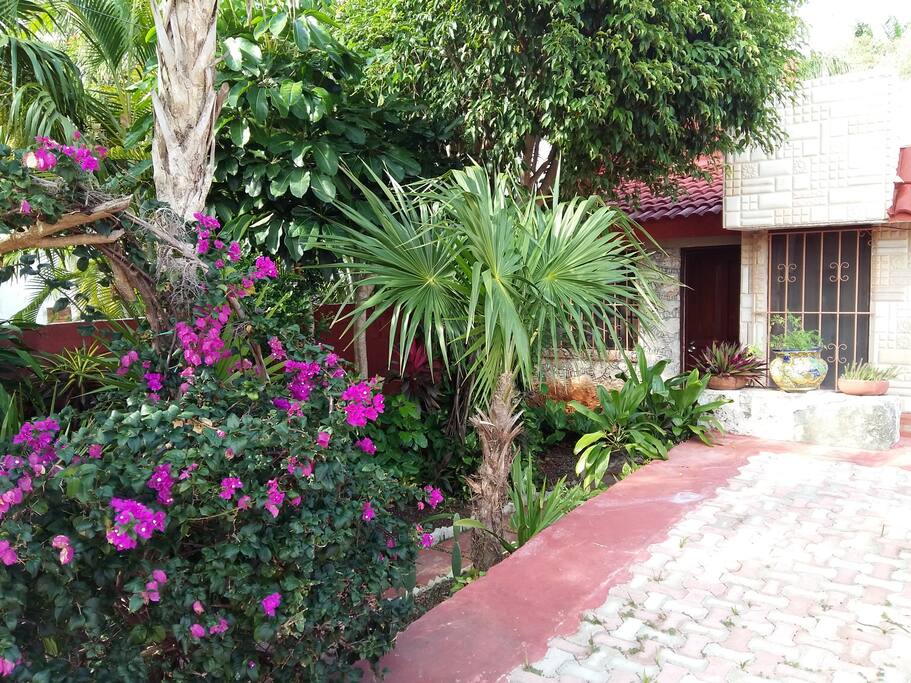 Front garden