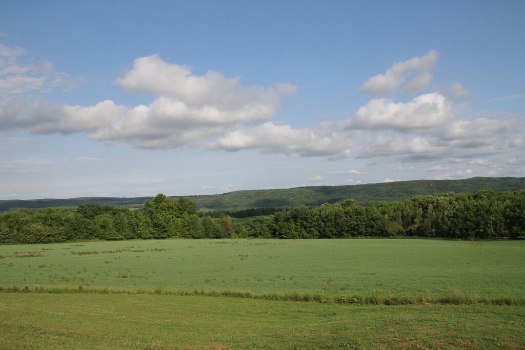 Tremendous Highlands Hills