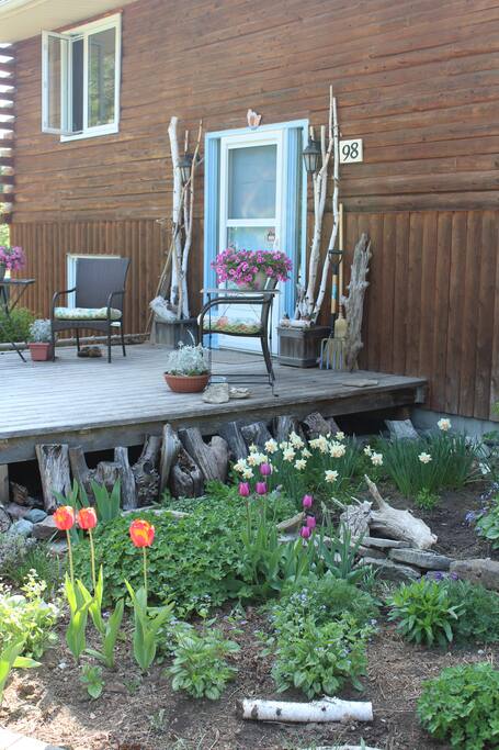 Springtime at 98 Cedar Cres.