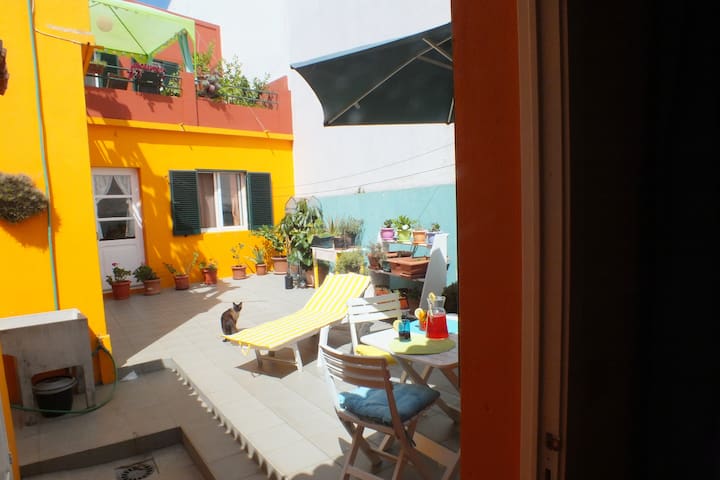 "Chez Dany", a Minisuite in Ponta Delgada's center