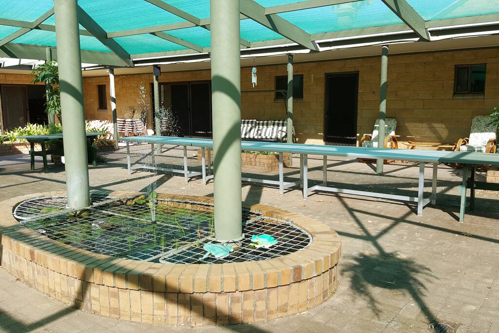 Relax with the goldfish in the sheltered beer garden.