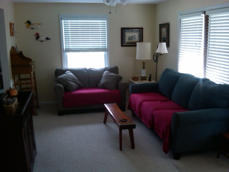 Living room with pullout sofa bed