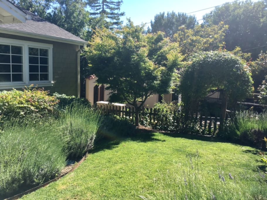Front Yard