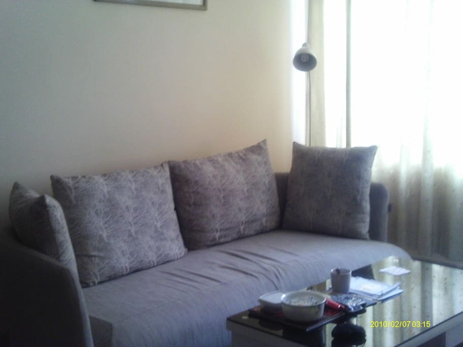 Comfortable Sofa