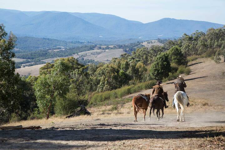 Chum Creek Hut – Yarra Valley country escape gallery image 5