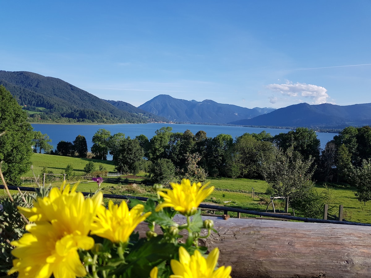 A scenic view of the lake is framed by vibrant yellow flowers in the foreground. Rolling hills and dense forests create a picturesque backdrop under a clear blue sky. The calm water reflects the surrounding nature, evoking a peaceful atmosphere.