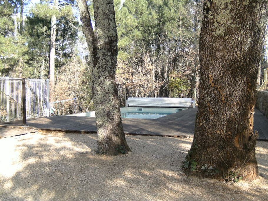 La piscine