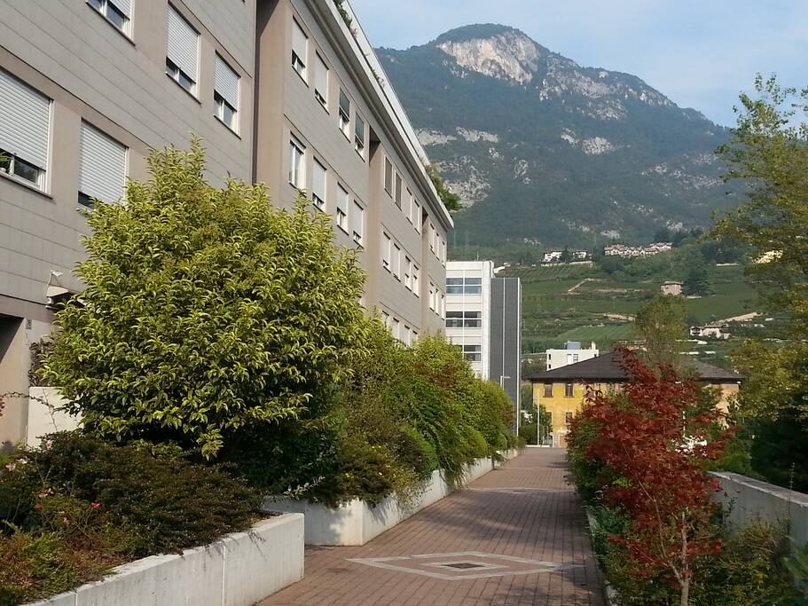 il vialetto davanti a casa