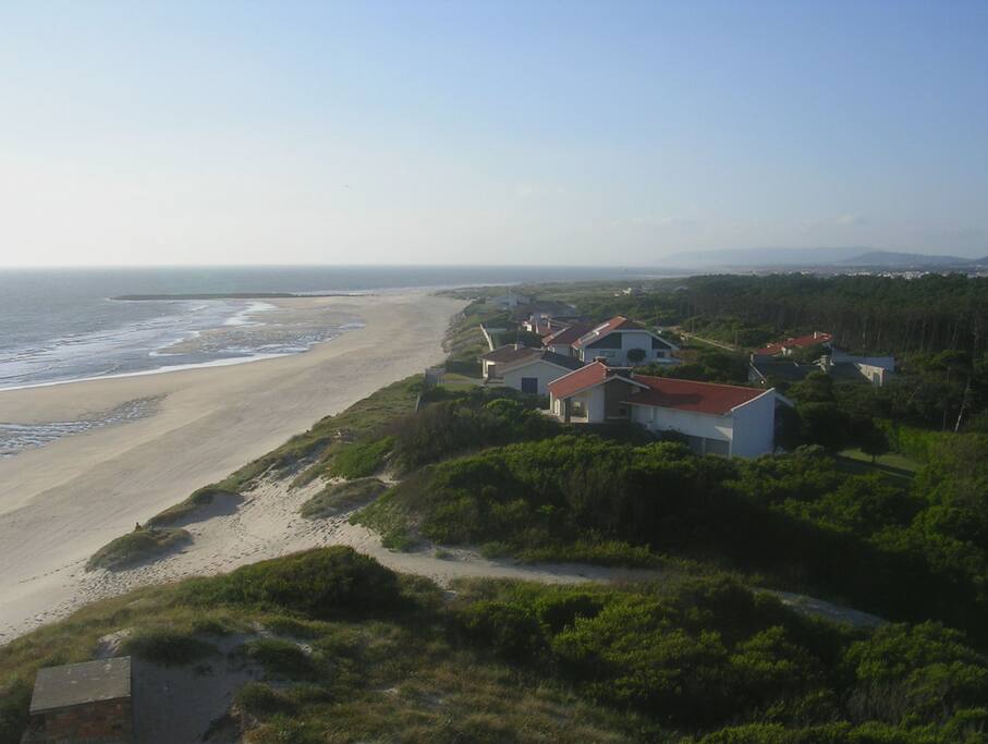 Northwest View