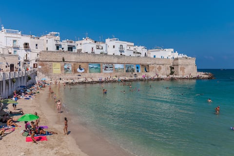 MONOLOCALE  PORTAVECCHIA Cis:Ba07203091000012743