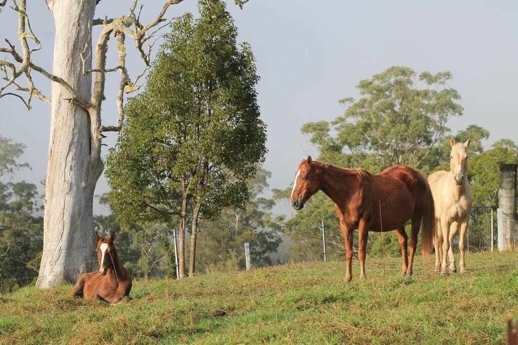 Farm Stay