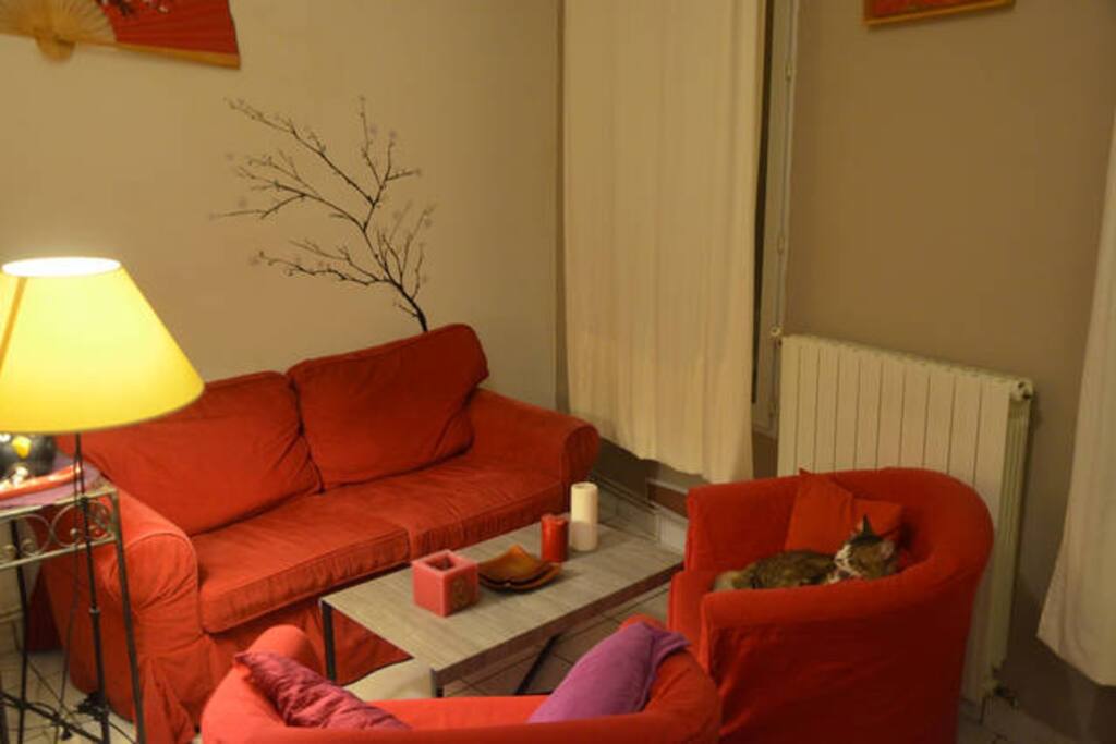 Salon / Lounge
+ Max le chat