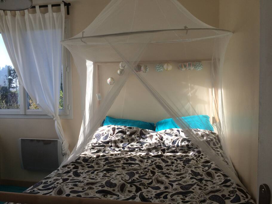 one and chambre blue zen