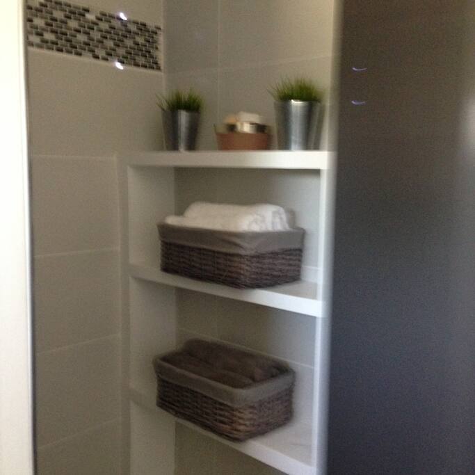 salle de bain avec douche