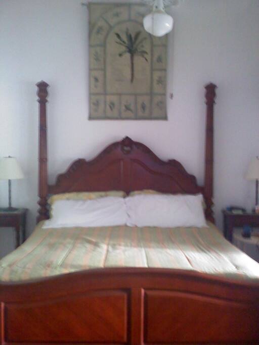 Master Bedroom with Comfy King Bed