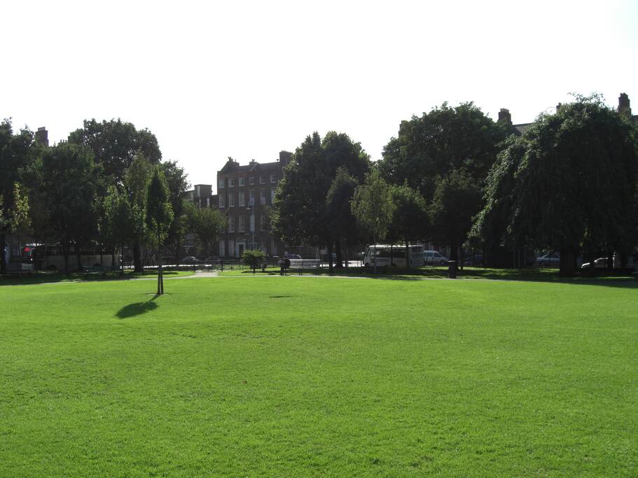 Views of our neighbourhood park!