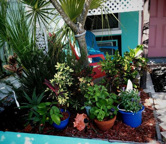 ESCAPE TO ST PETE BEACH, THE SUNSET CAPITAL