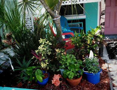 Escape to St Pete  Beach,  The Sunset Capital