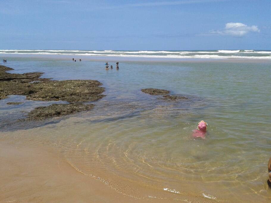 Natural swimming pools at low tide
