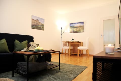 Erfolgreiche Airbnb-Immobilie: Fully equipped 2-room apartment in the center of Wü in Würzburg