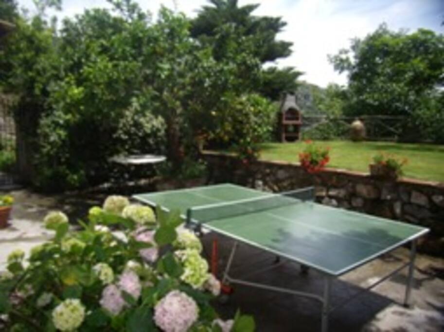 Giardino e tavolo ping pong