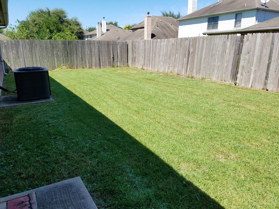 Backyard