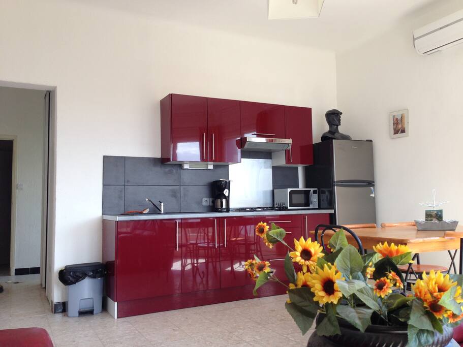 Cuisine de l'appartement. Tout équipé