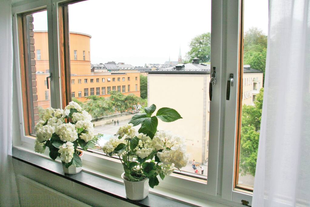 Living room window