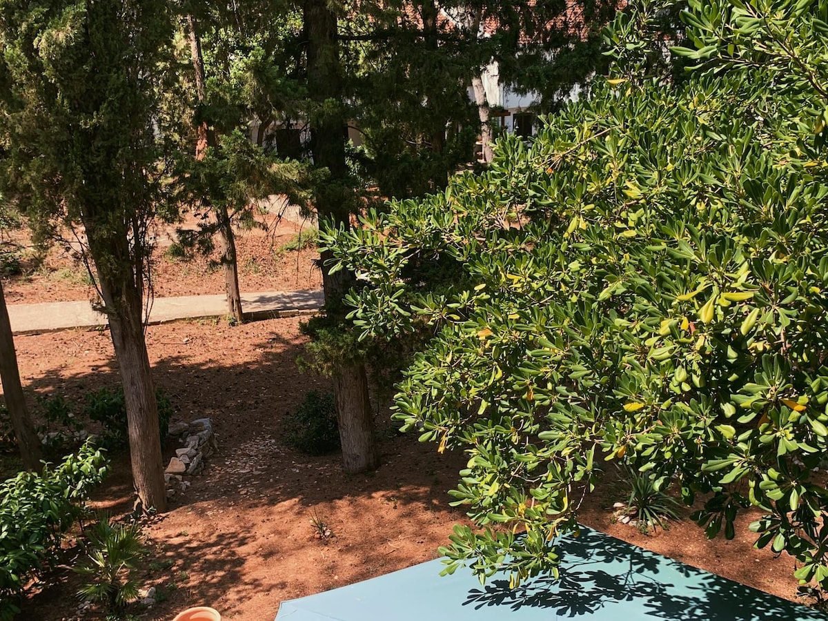 A view of the outdoor garden area is presented, featuring a variety of trees and shrubs. A wooden table is visible in the foreground, surrounded by dappled sunlight filtering through the leafy canopy above, creating a serene outdoor setting.