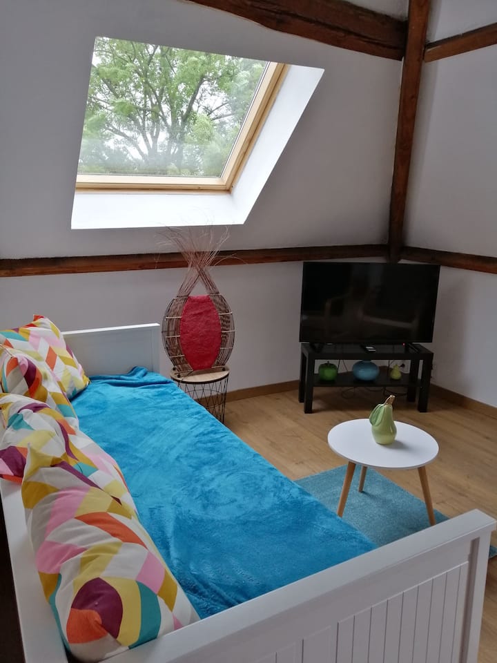 Appartement 1 Chambre Dans Une Ancienne Ferme - Ath