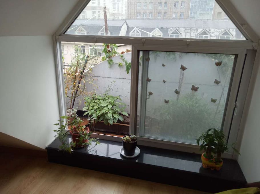 阳台balcony
