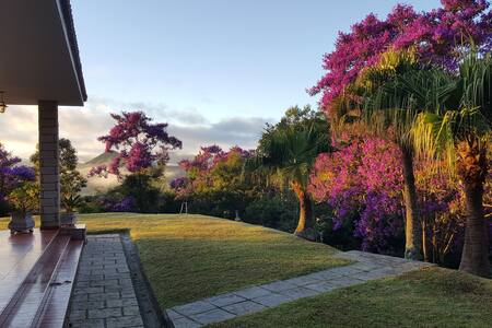 Quinta das Araucárias: cercada pela natureza.